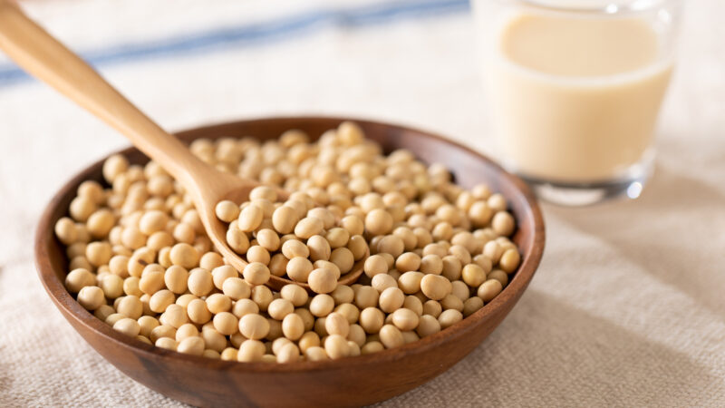 「佐賀・武雄で話題の高オレイン酸大豆“佐大HO1号”とは？お土産にも人気｜通販で買える武雄の名産品」