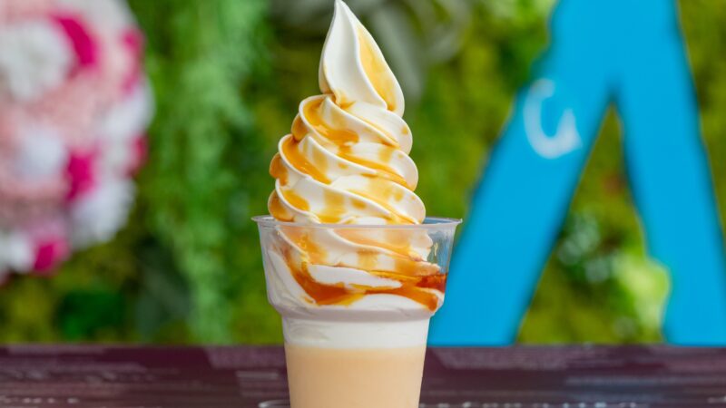 年間1万個の大ヒット！武雄温泉物産館のプリンソフトとテイクアウトメニューまとめ