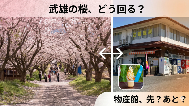 武雄の桜スポット2026｜御船山楽園・八天桜・馬場の山桜と楽しむ春のおでかけコース